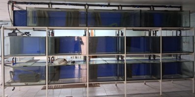 20260417_143930 (002)